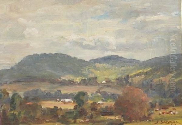 Salvana , Landscape 1954 - view 1