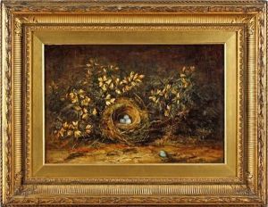 Birds Nest And Whin by Pattie Jack