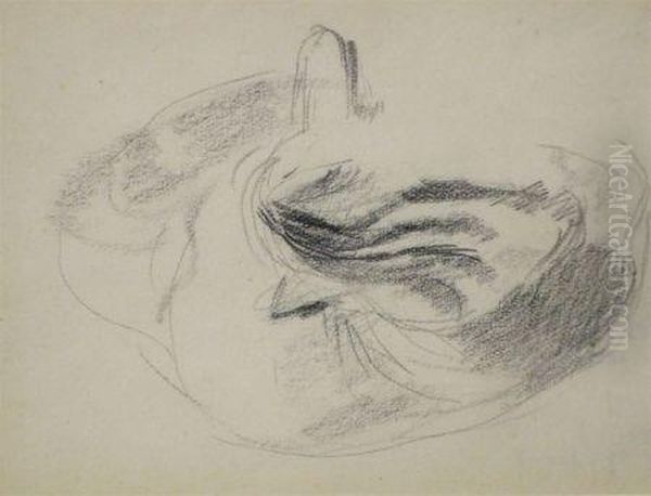Pencil Drawing, Cat Study , 3 1/2 - view 1