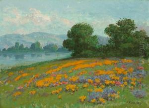 California Landscape With Wildflowers