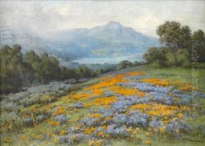 Poppies And Lupine With Mt. Tamalpais In Thedistance