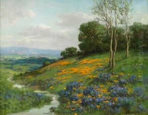 Early Spring, Sonoma (california Poppies And Lupine)