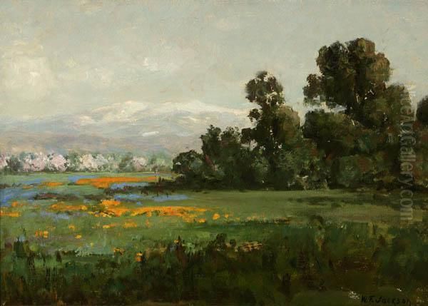 California Landscape With Poppies - view 1