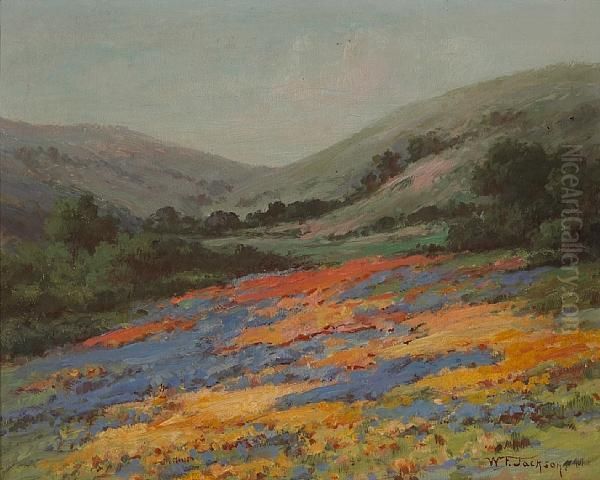 Wildflowers On A Hillside - view 1