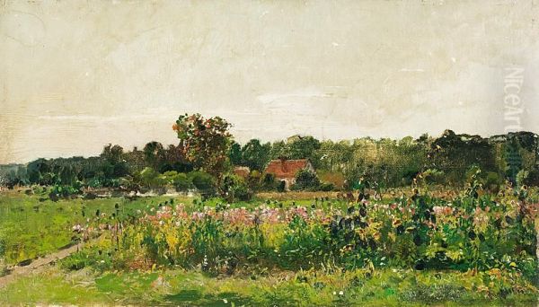 Bluhende Sonnenblumen Und Hellroter Mohn - view 1