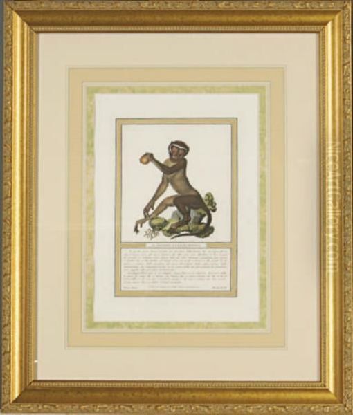 [monkeys]: Eight Plates - view 1