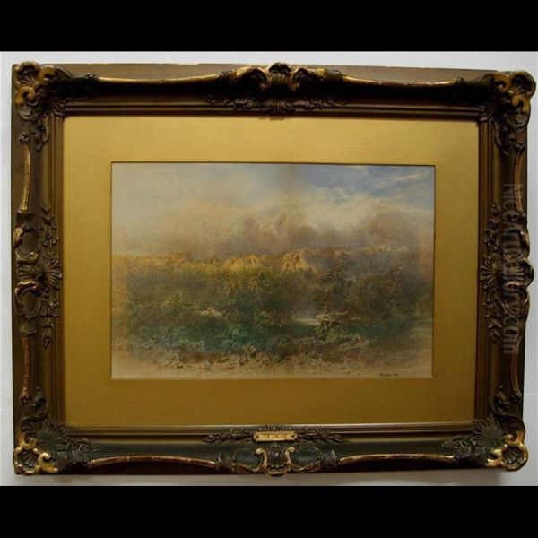 Landscape Study - view 1