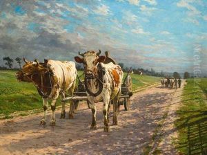 Attelage De Boeufs