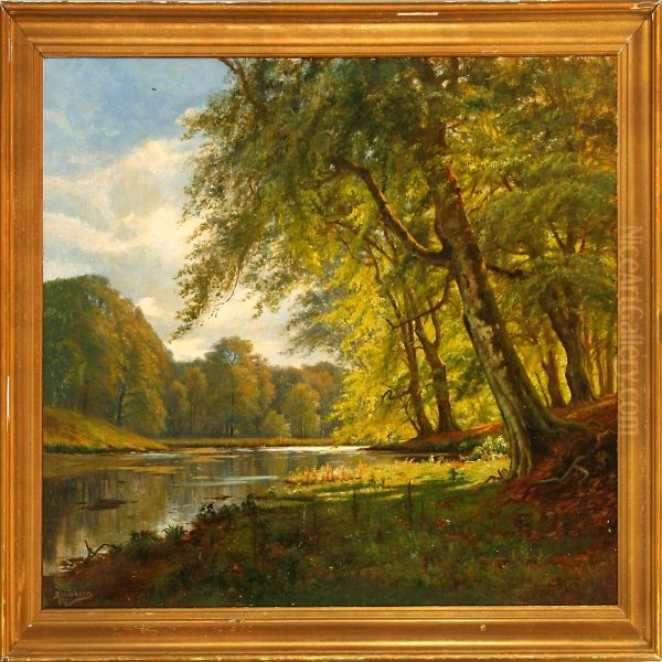 Glade At A Forest Lake - view 1