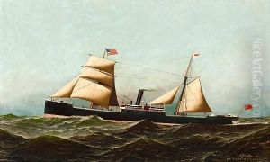 The Sail/steamer by Antonio Nicolo Gasparo Jacobsen