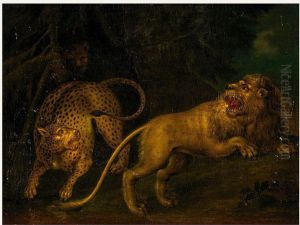 Lowe Und Leopard