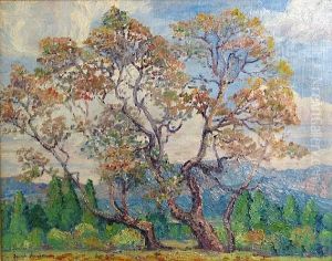 Sycamore Trees by Amanda Jacobson