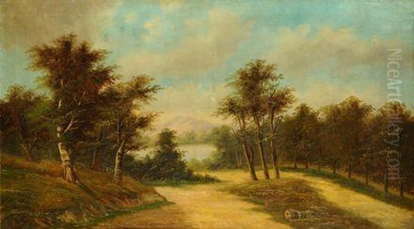 Paesaggio - view 1