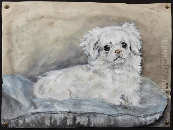 Study Of A Pekinese - view 1