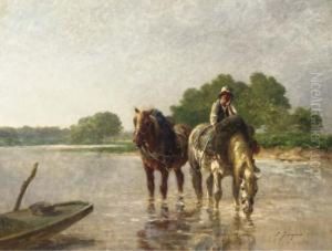Working Horses Pausing For A Drink In A River