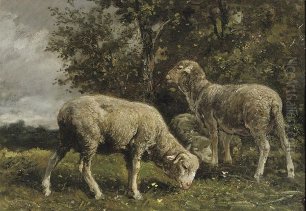 Moutons Sous Un Arbre: Sheep Under A Tree - view 1