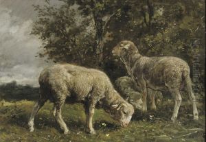 Moutons Sous Un Arbre: Sheep Under A Tree by Charles Jacques