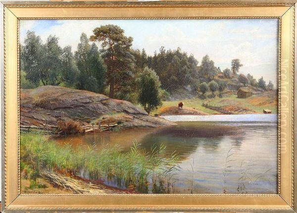 Insjo Med Kreatur - view 1