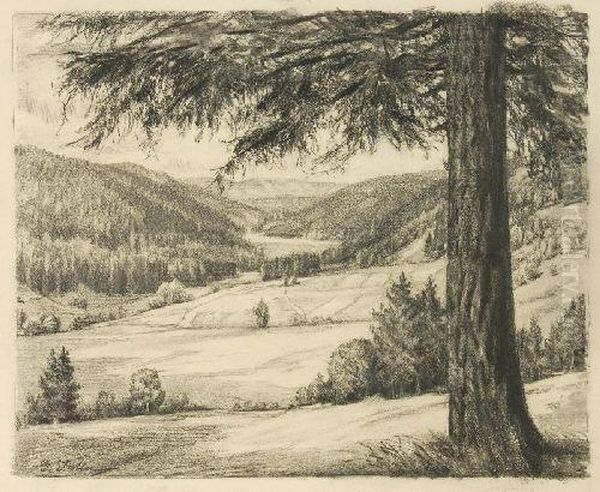 Gimmlitztal - view 1