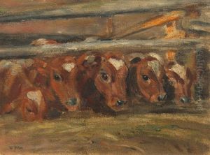Kalber Im Stall. Nodate by Willy Jahn