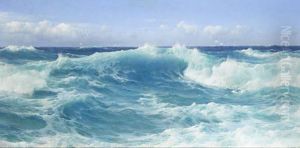 The Morning Tide