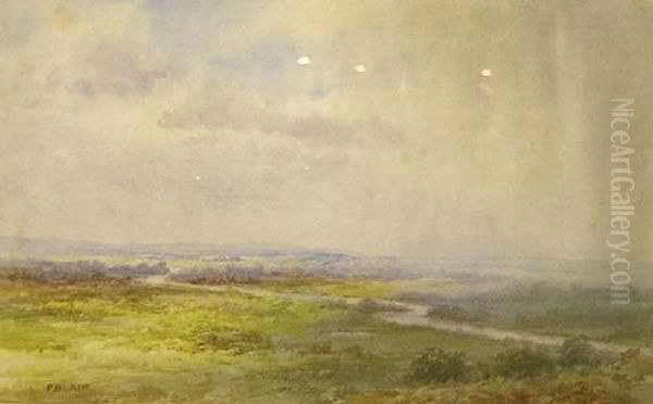Extensive River Landscape - view 1