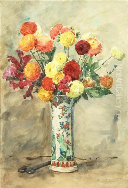 Ranunculus In Famille Verts - view 1