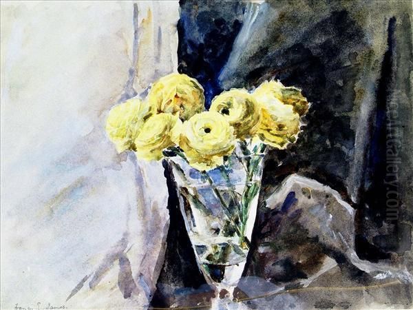 Still Lifeof Ranunculus - view 1