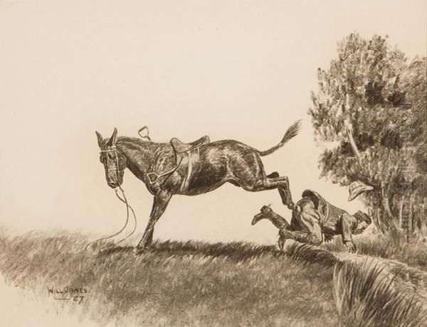 The Misunderstood Mule - view 1