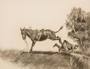 The Misunderstood Mule by Will James
