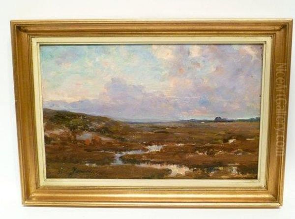 "campine" - view 1