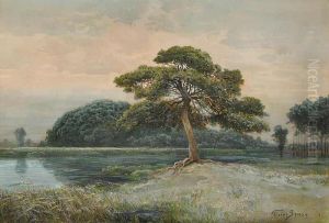 A Landscape By Nove Hrady by Vaclav Jansa