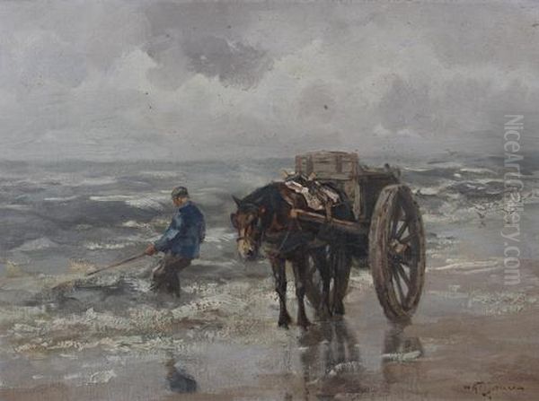 Shrimping Along The Shore - view 1
