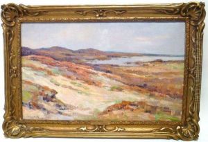 Dunes Et Marais En Campine by Ludovic Janssen
