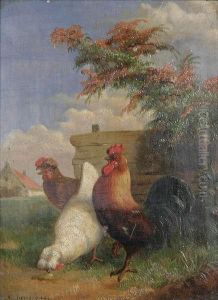 Haan En Kippen Bij De Hoeve by V. Janssens