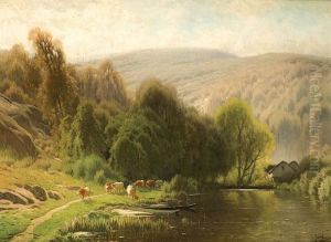 Cours D'eau Dans Les Ardennes