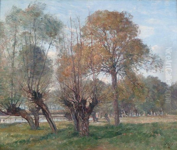 Paysage - view 1