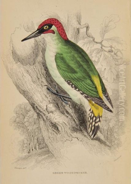 The Naturalist's Library - view 1