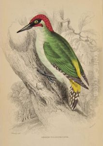 The Naturalist's Library