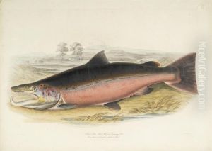 British Salmonidae