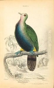 The Naturalist's Library...vol.ix. Ornithology. Pigeons