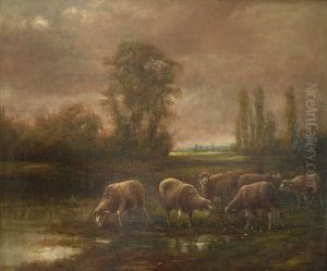 Paysage Aux Moutons