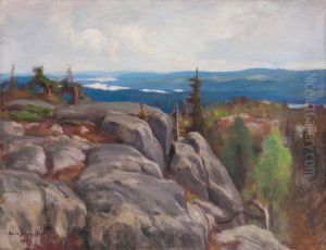 View From Koli
