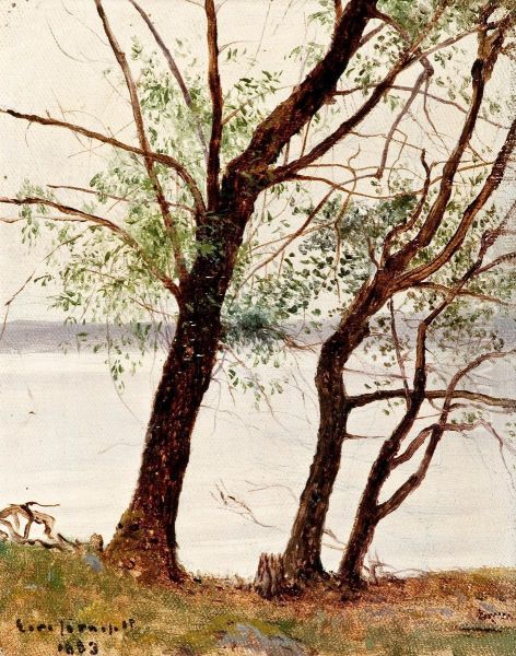 Alders On The Strand - view 1