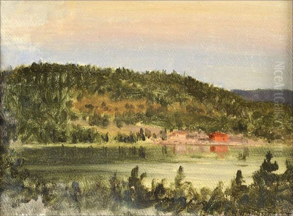 Nakoalapaikalta. - view 1