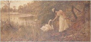 Feeding The Swans, Swanbourne Lake Arundel Feeding The Swans, Swanbourne Lake Arundel