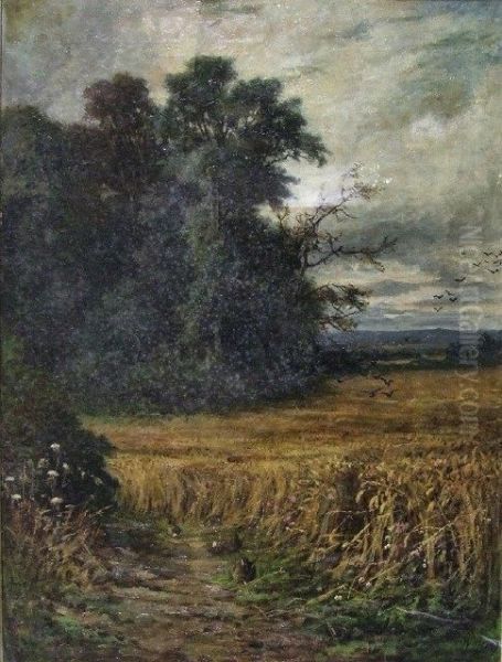 The Cornfield - view 1