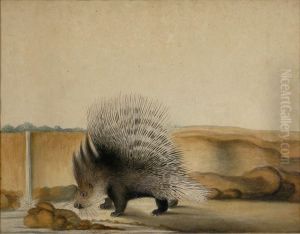 Porcupine by Lavalette Jean