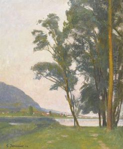 Ansicht Von La Neuveville Mit Bielersee Ansicht Von La Neuveville Mit Bielersee