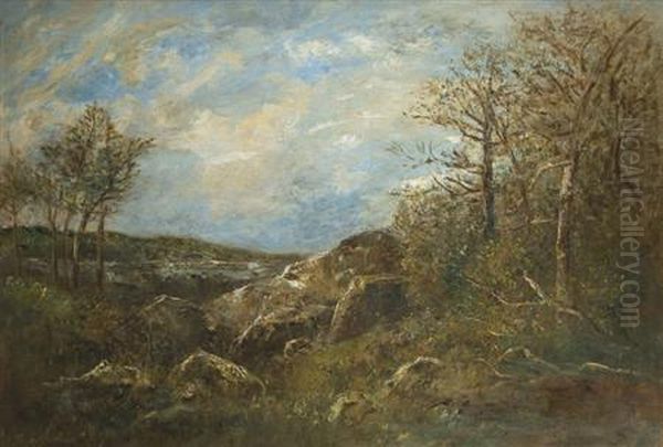 Wooded Landscape With Boulders - view 1